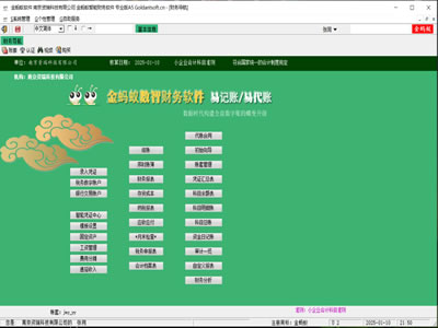 财务软件 专业版 代账大师