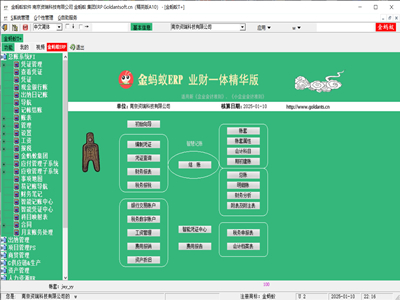 金蚂蚁ERP 精英版